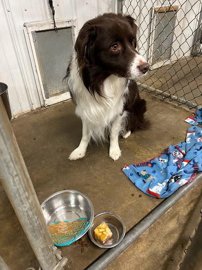 Byrd's Dawg Boarding