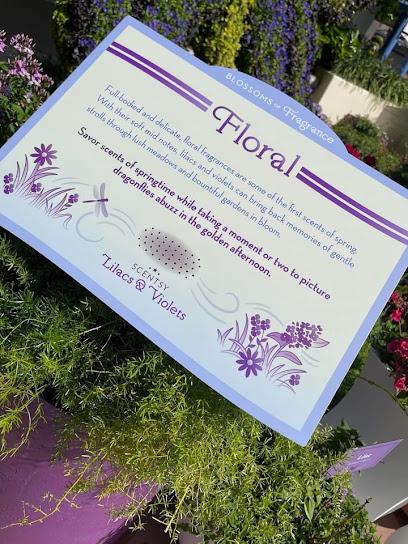 Scentsy Independent Consultant