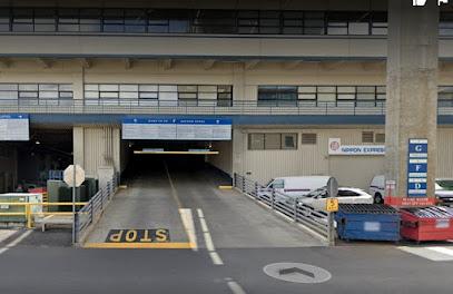 PACIFIC ICE SERVICES INC