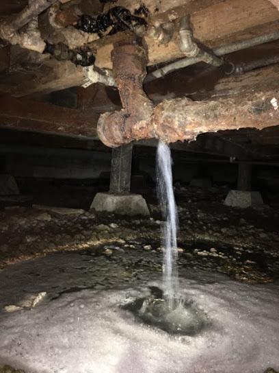 The Water Damage Experts, Incorporated