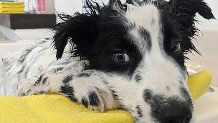 Community Bark Dog Wash & Groom - Bay View