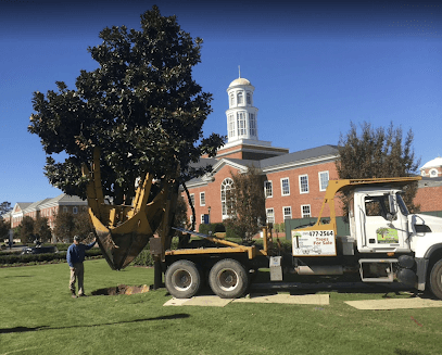 Tidewater Trees - Sales & Transplant