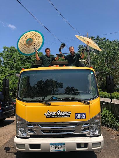 Junk Genius