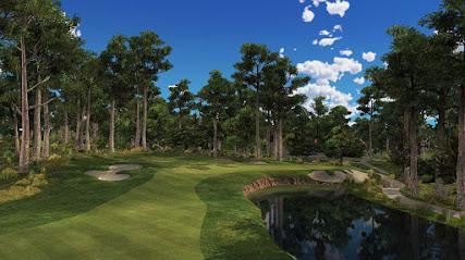 Playin Thru Golf LLC