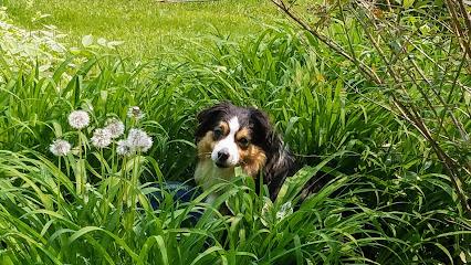 Rockin' Home Repair and Woodworks