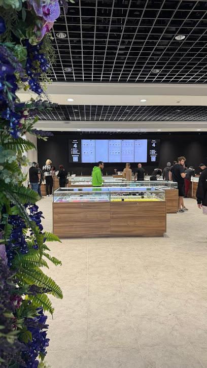 Wallflower Cannabis House Weed Dispensary Henderson