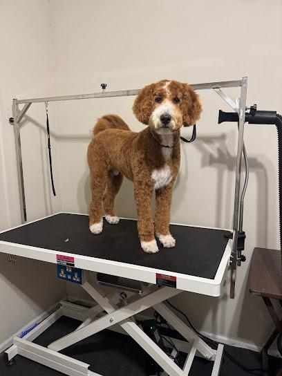 Luxury Pawz Grooming