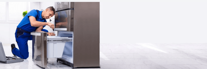 APPLIANCES PARTS SERVICES INC