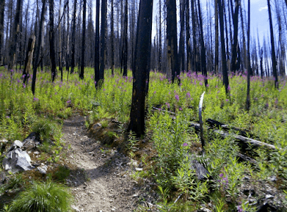 Johnson Appliance Service