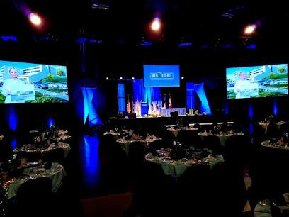 Nightlife Sound and Lighting