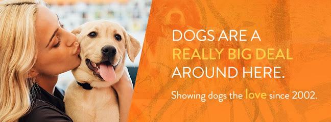 Dogtopia of Omaha-Northwest