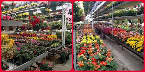 Stuckey's Greenhouses INC.